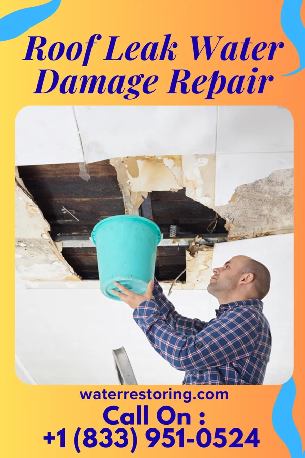 Roof Leak Water Damage Repair in Nickerson, KS